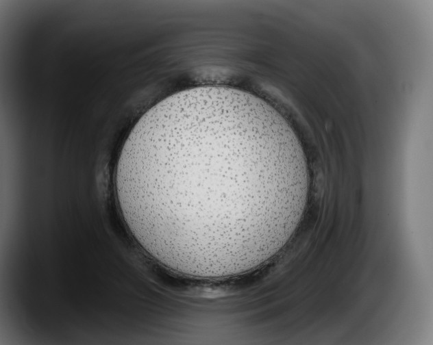 X0000087570498200705251823