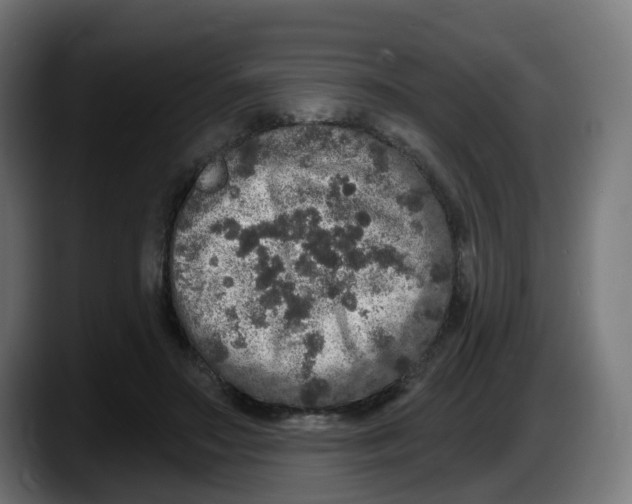 X0000087570499200705251823