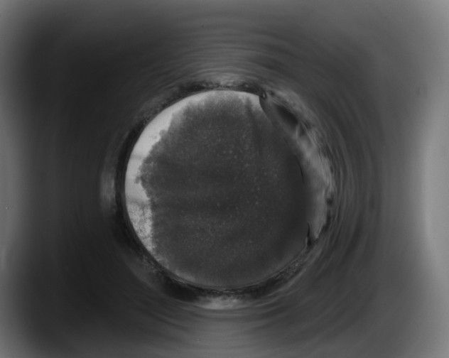 X0000087570500200705251823