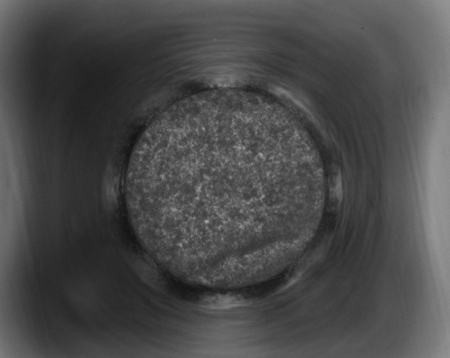 X0000087570503200705251823