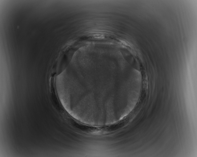 X0000087570504200705251823