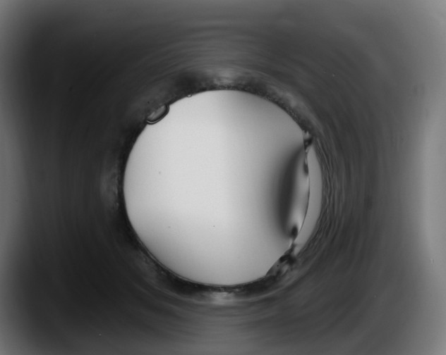 X0000087570509200705251823