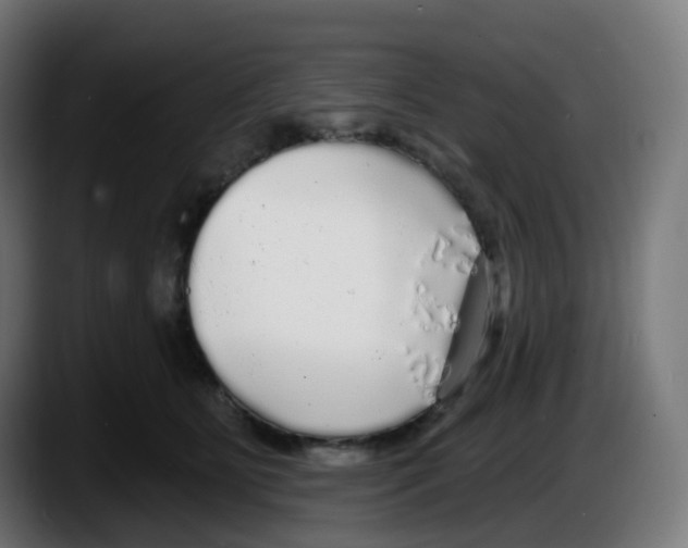 X0000087570515200705251823