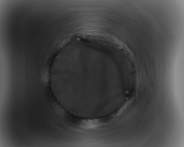 X0000087570517200705251823