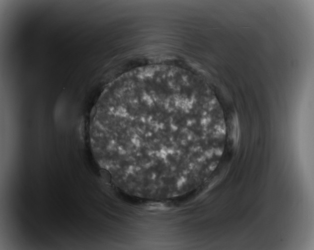 X0000087570519200705251823