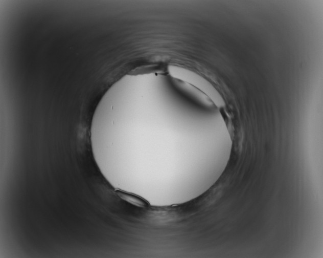 X0000087570521200705251823