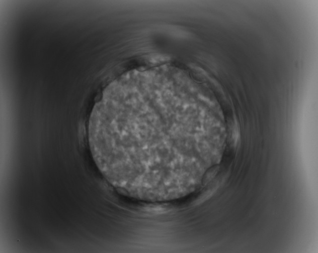 X0000087570523200705251823