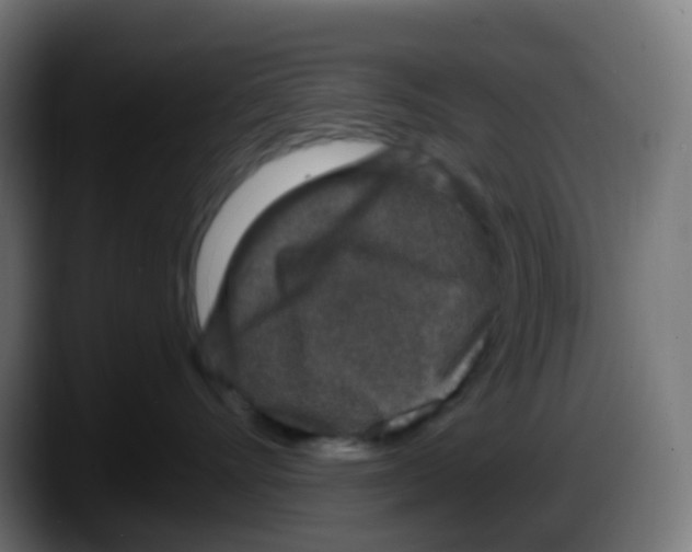 X0000087570528200705251823