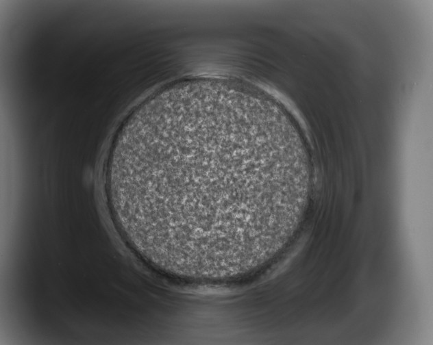 X0000087570529200705251822