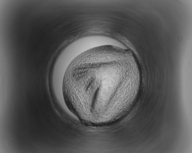 X0000087570530200705251822