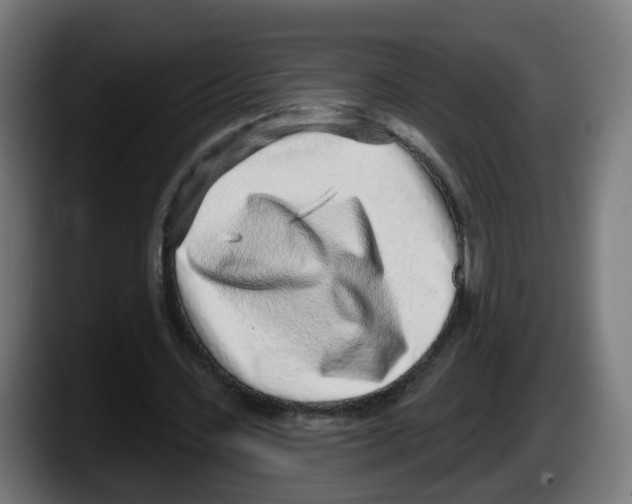 X0000087570531200705251822