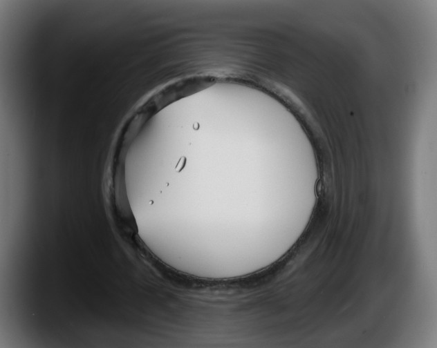 X0000087570532200705251822