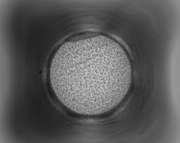 X0000087570533200705251822