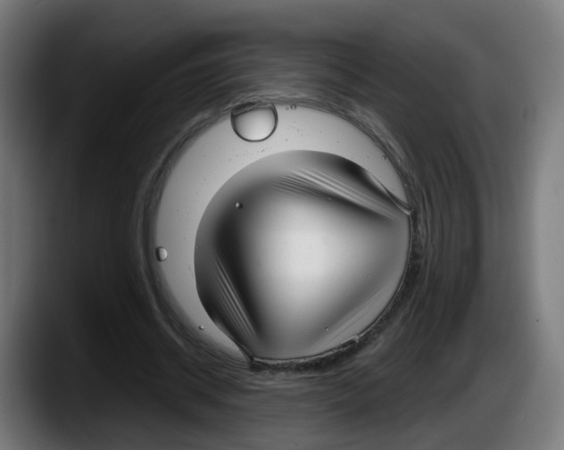 X0000087570534200705251822