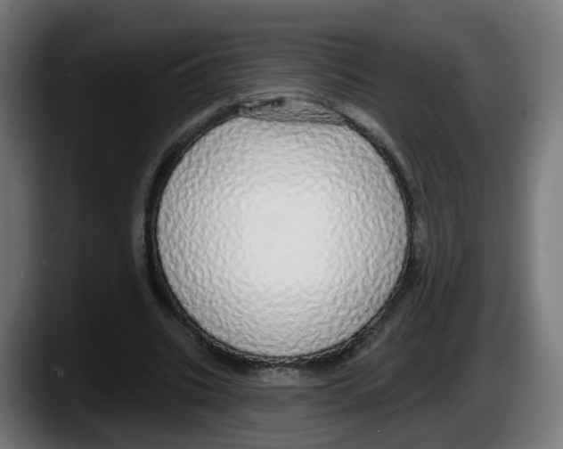 X0000087570535200705251822