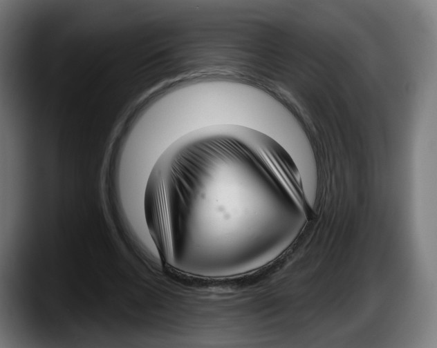 X0000087570536200705251822