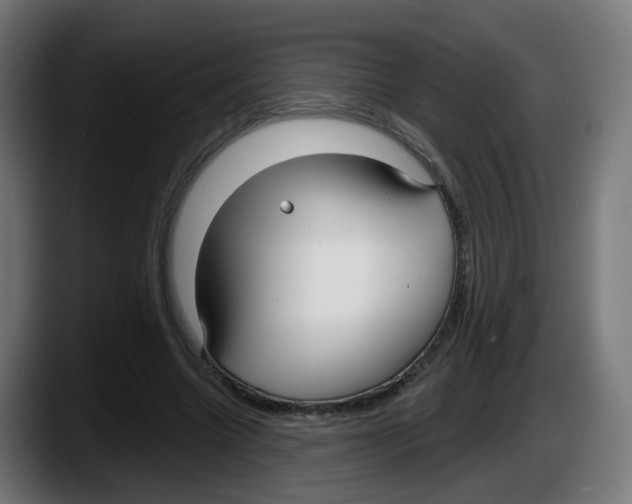 X0000087570538200705251822