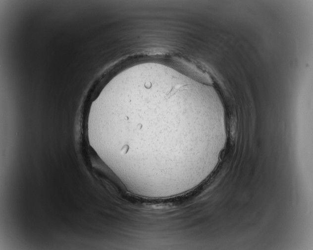 X0000087570540200705251822