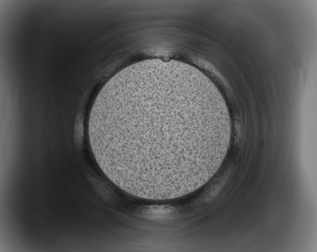 X0000087570541200705251822