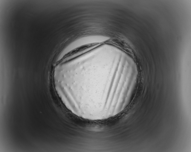 X0000087570542200705251822