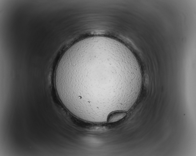 X0000087570543200705251822