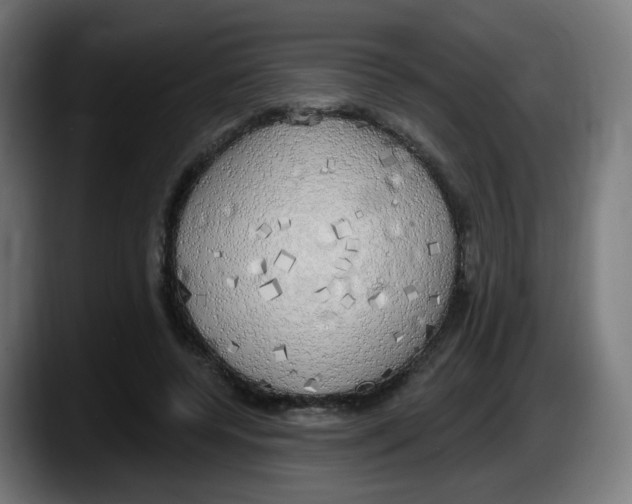 X0000087570544200705251822
