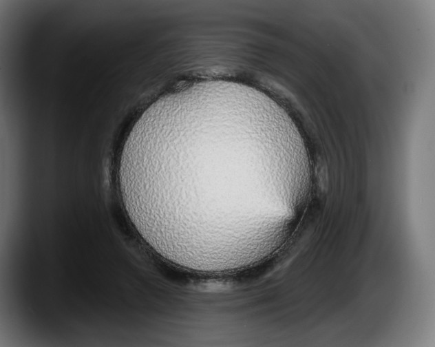 X0000087570546200705251822