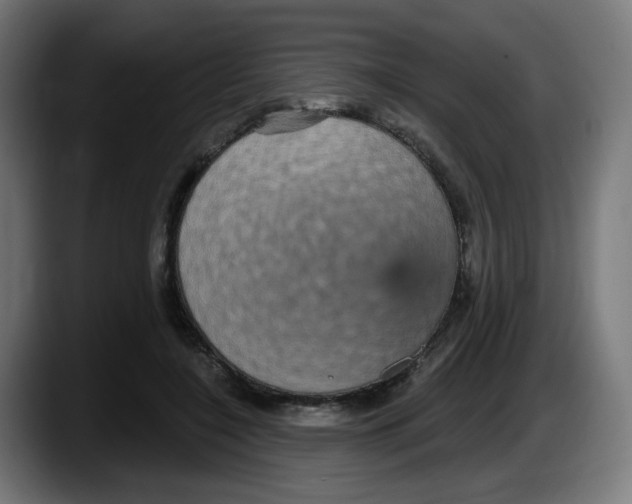 X0000087570548200705251822