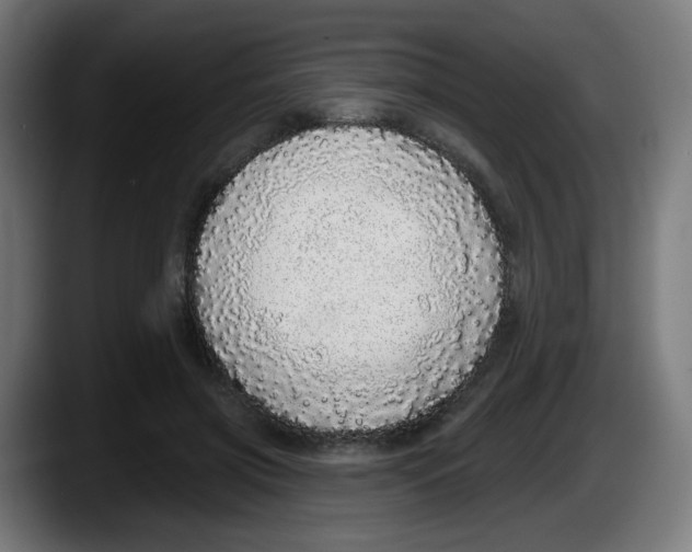 X0000087570549200705251822