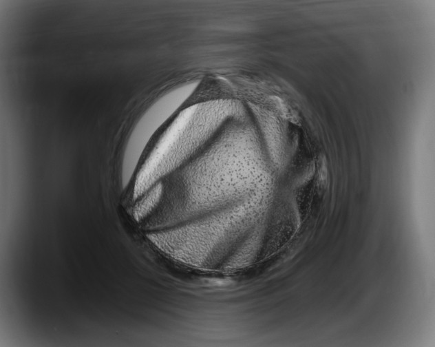 X0000087570552200705251822