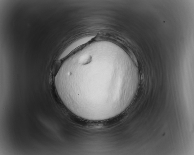 X0000087570554200705251822