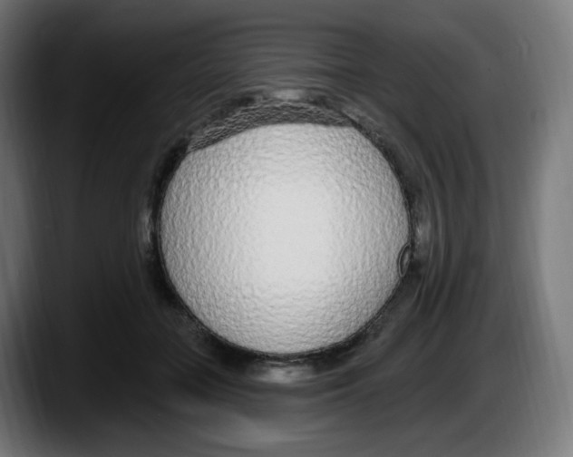 X0000087570555200705251822