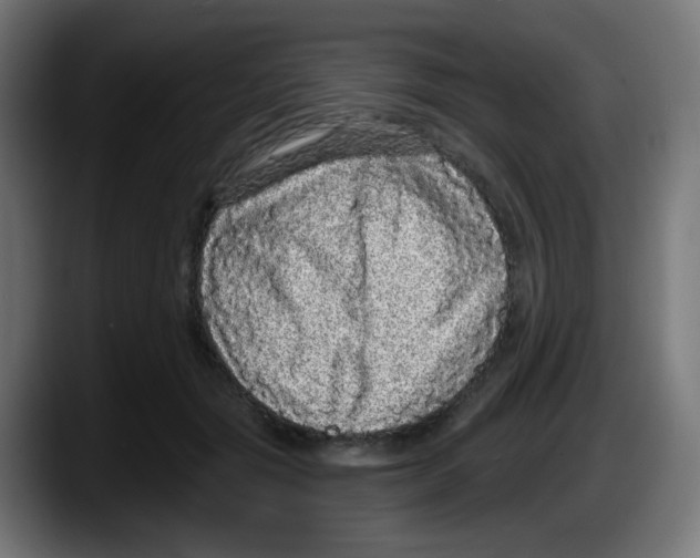 X0000087570557200705251822