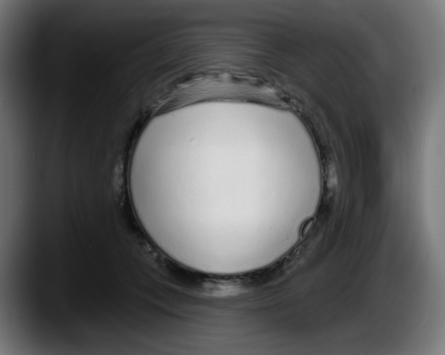 X0000087570559200705251822