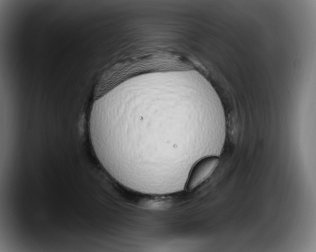 X0000087570563200705251822