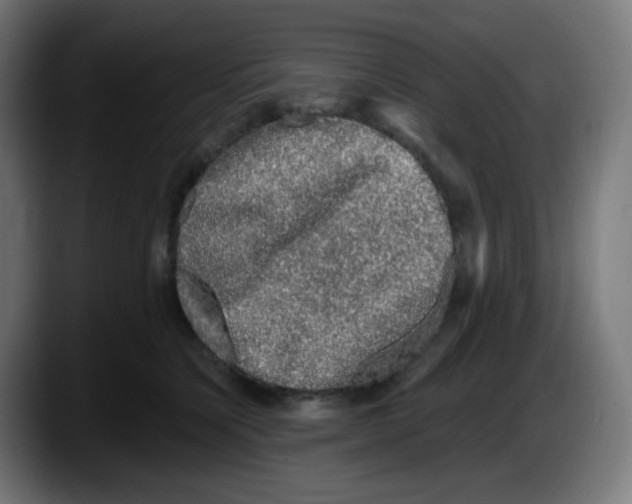 X0000087570564200705251822