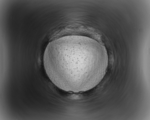 X0000087570566200705251822