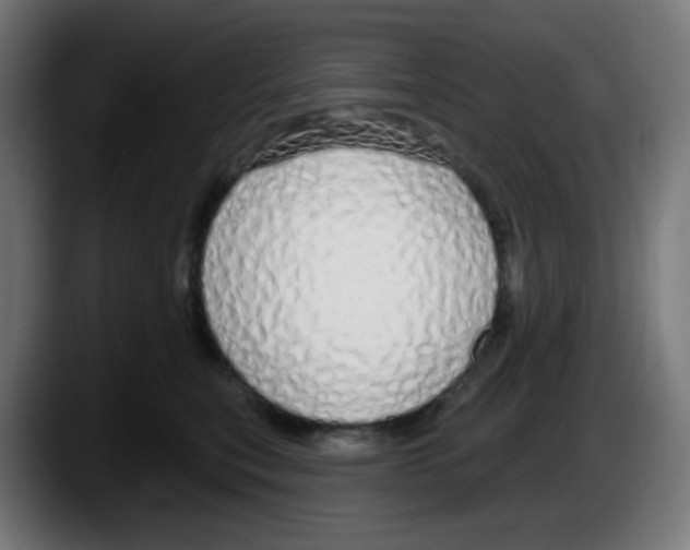 X0000087570567200705251823