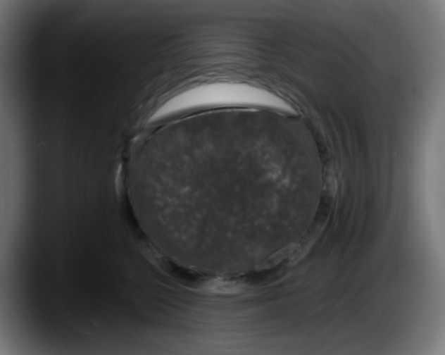 X0000087570568200705251823