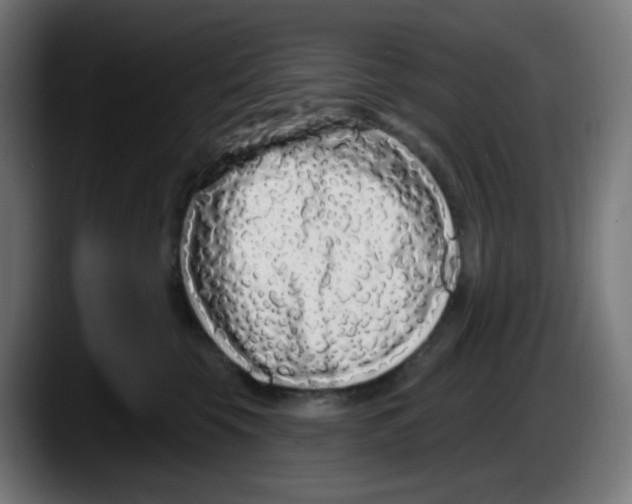 X0000087570569200705251823