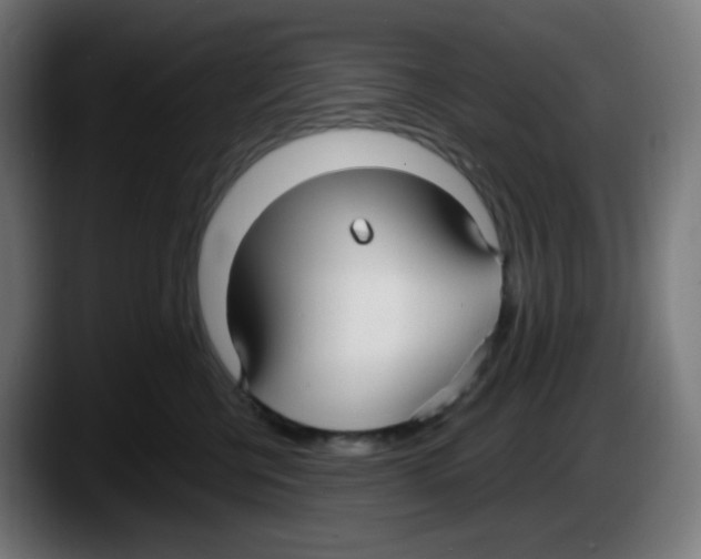 X0000087570570200705251823