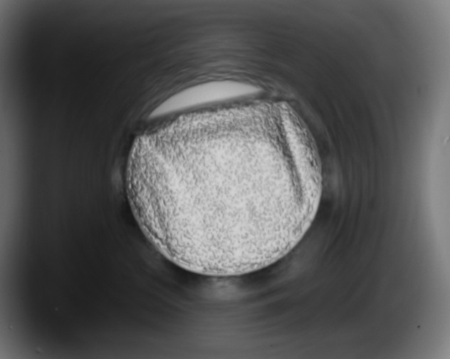 X0000087570573200705251823