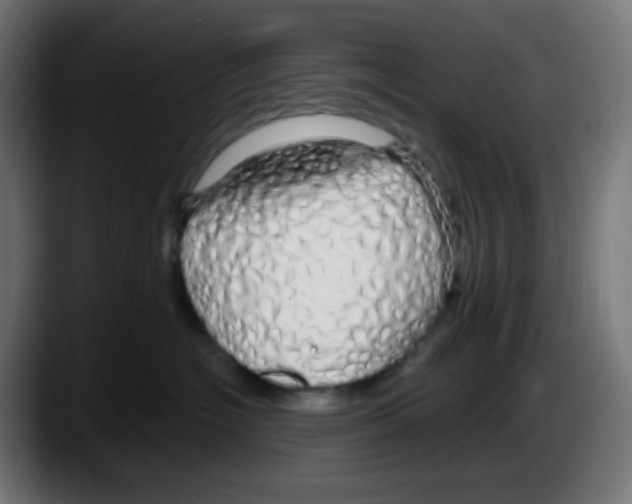 X0000087570574200705251823