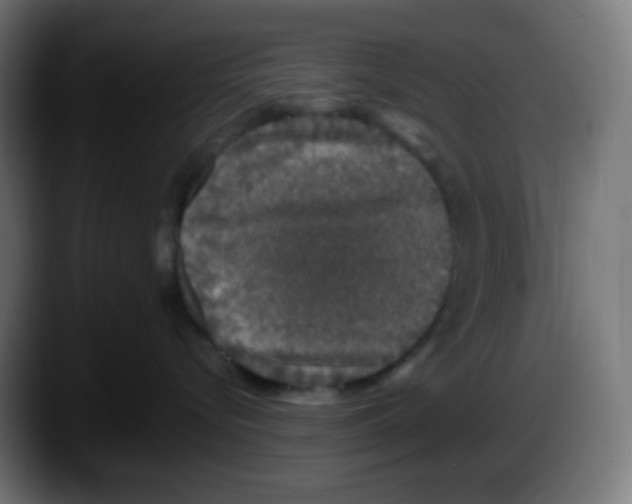 X0000087570576200705251823