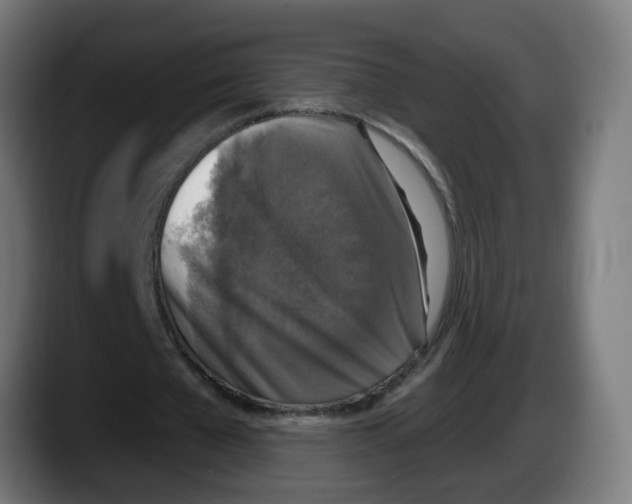 X0000087570577200705251822