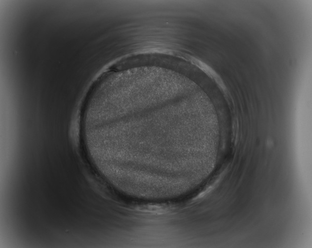 X0000087570580200705251822