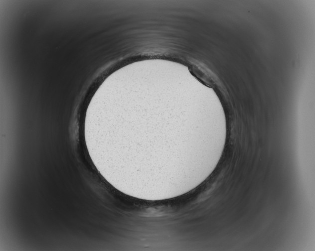 X0000087570584200705251822