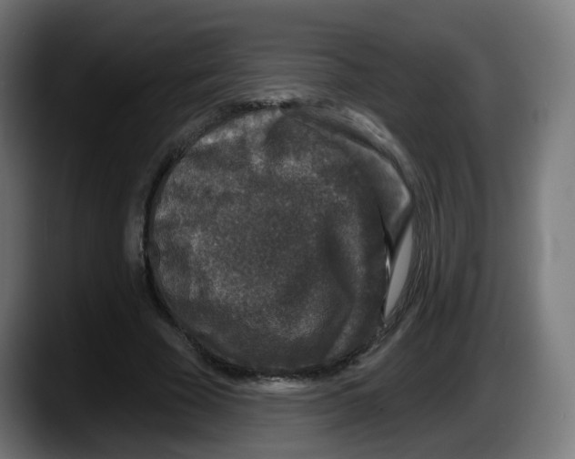 X0000087570585200705251822