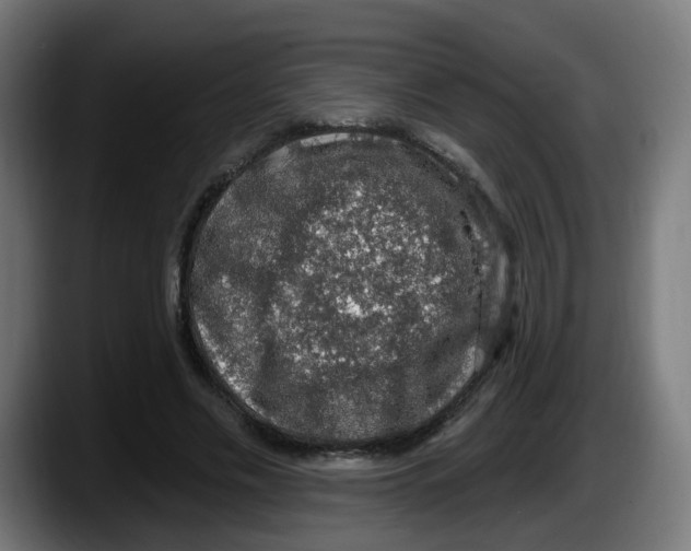 X0000087570589200705251822