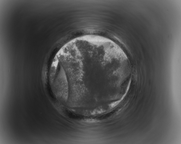 X0000087570590200705251822